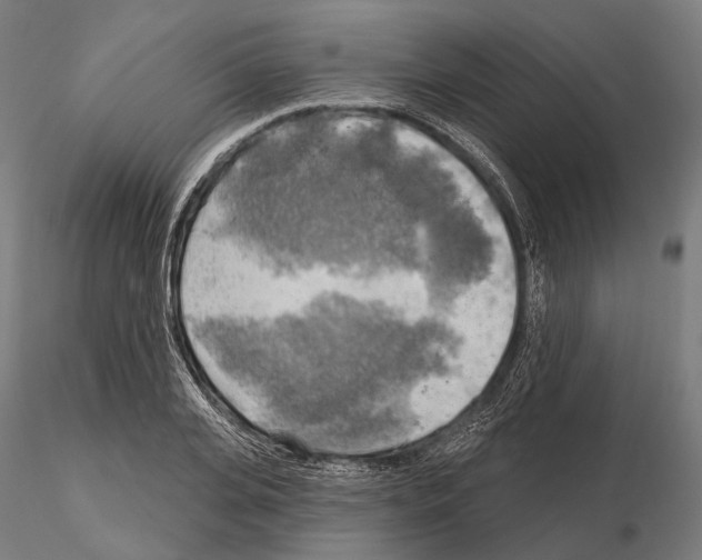 X0000114650935200912011109