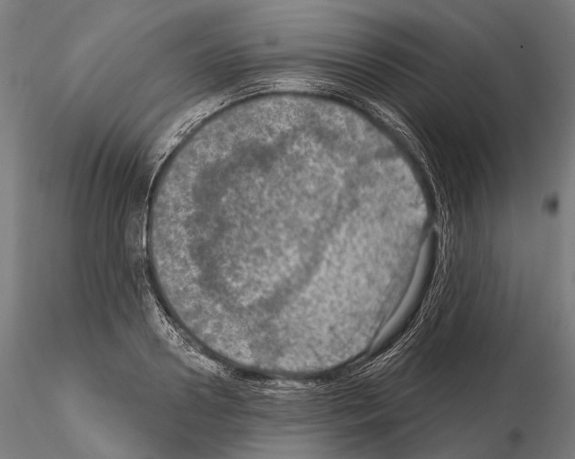 X0000114650938200912011109