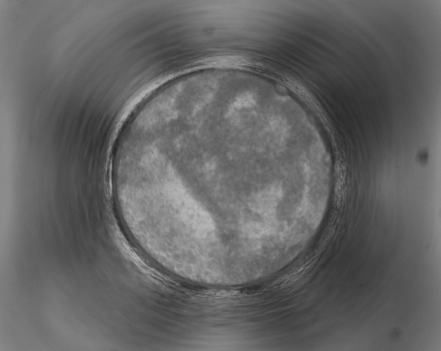 X0000114650939200912011109