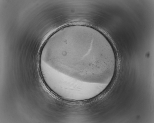 X0000114650941200912011109