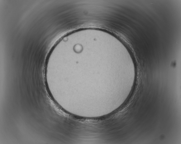 X0000114650942200912011109