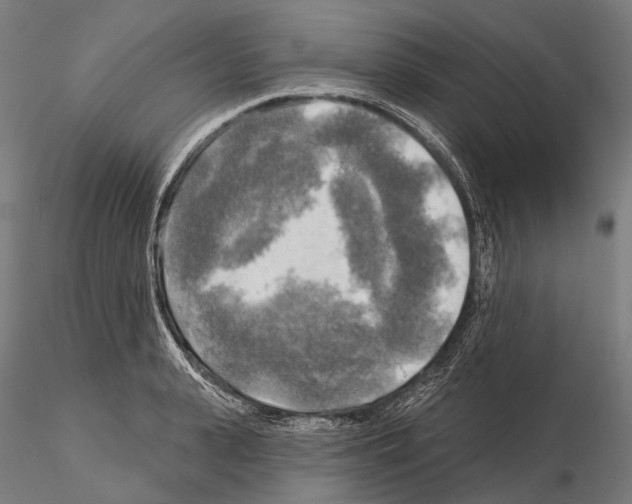 X0000114650943200912011109