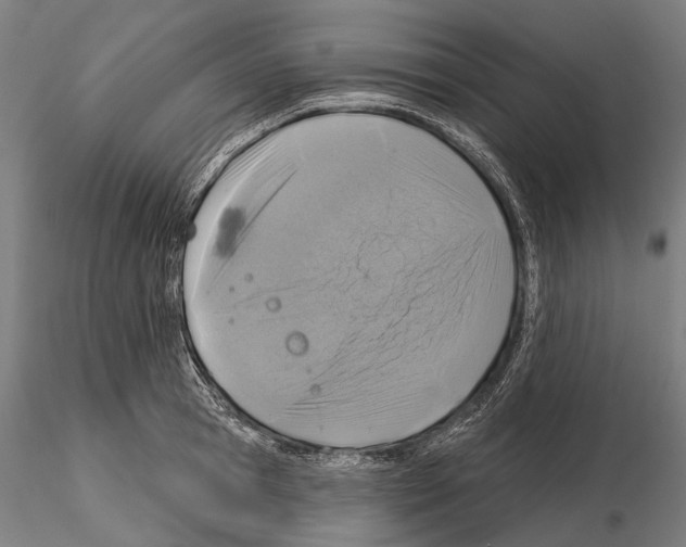 X0000114650945200912011109