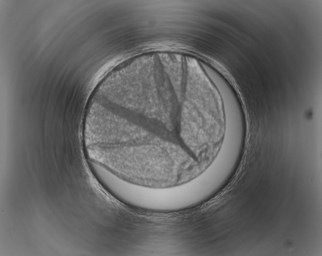 X0000114650946200912011109