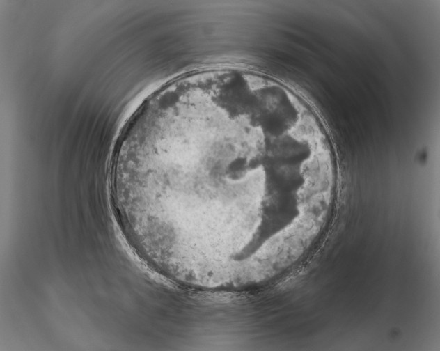 X0000114650949200912011109