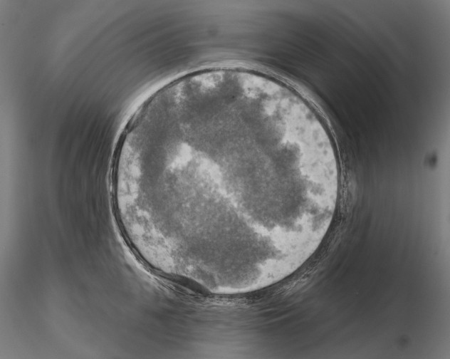 X0000114650951200912011109