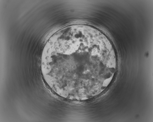 X0000114650953200912011109