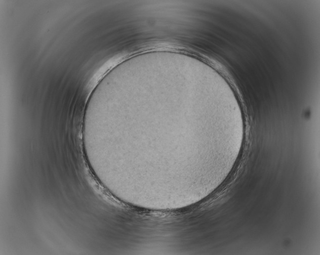 X0000114650954200912011109