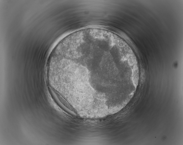 X0000114650955200912011109