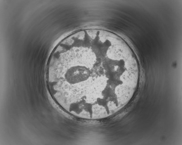 X0000114650957200912011109