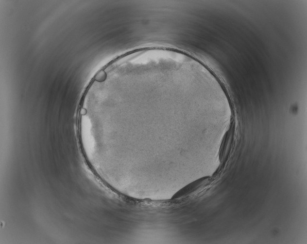 X0000114650958200912011109