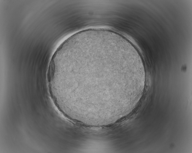 X0000114650959200912011109