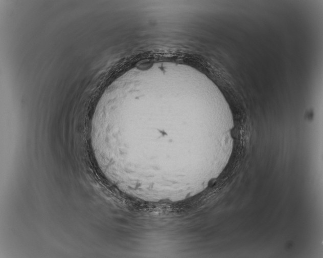 X0000114650961200912011109