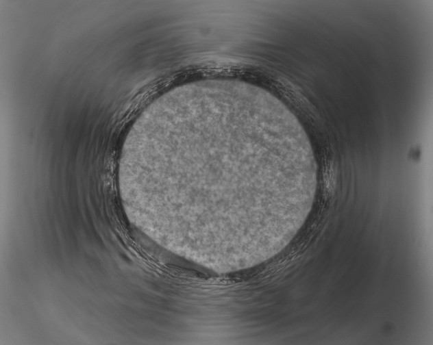 X0000114650964200912011109