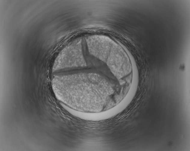 X0000114650965200912011109