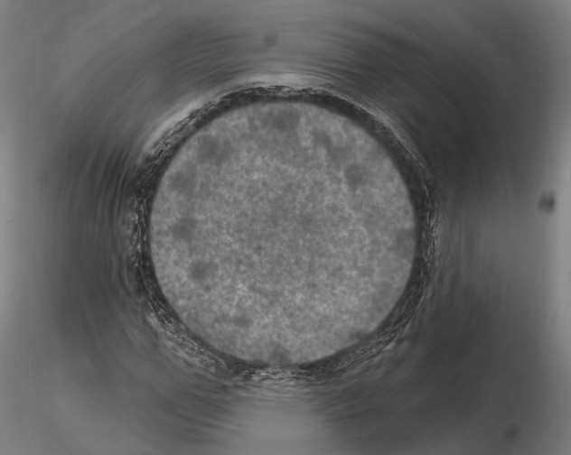 X0000114650967200912011109