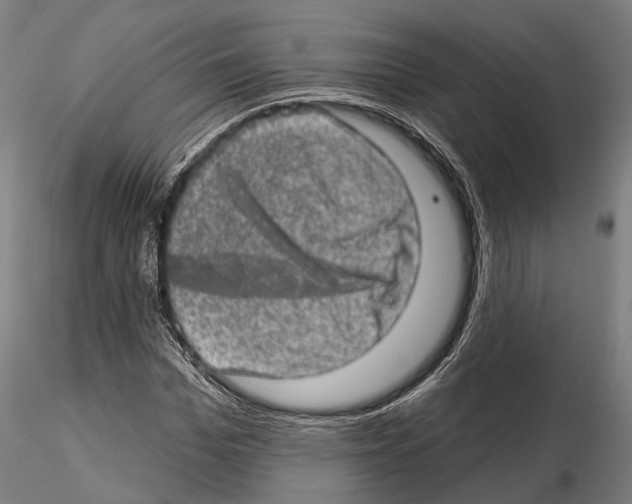 X0000114650969200912011108