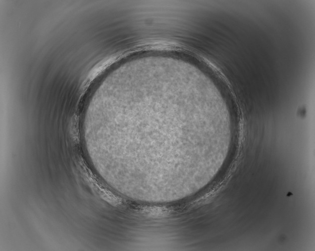 X0000114650970200912011108