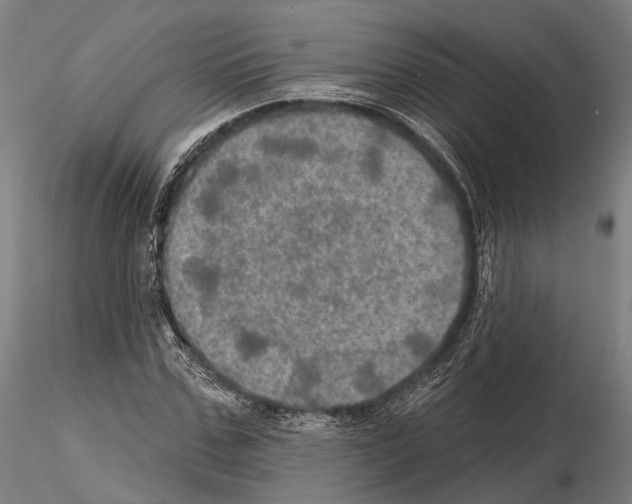 X0000114650971200912011108