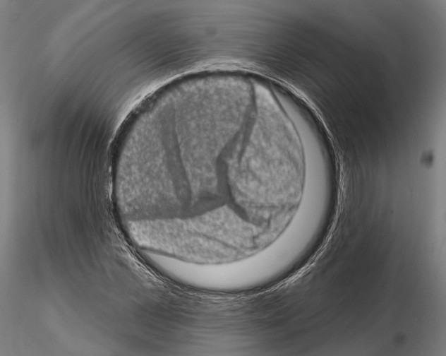 X0000114650973200912011108