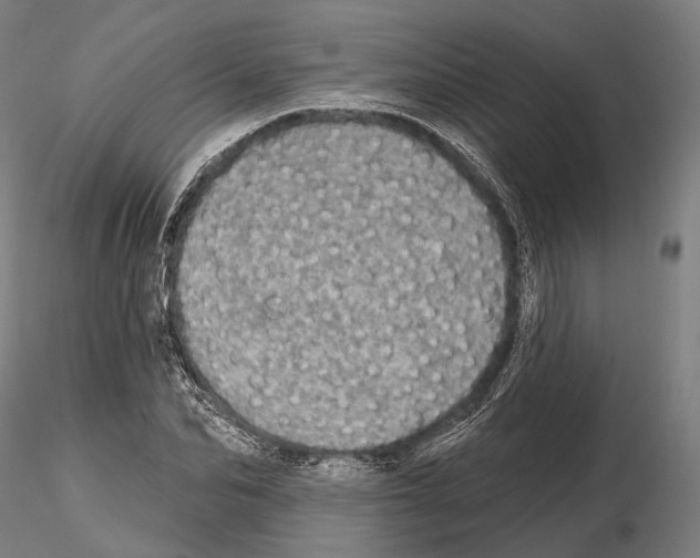 X0000114650974200912011108