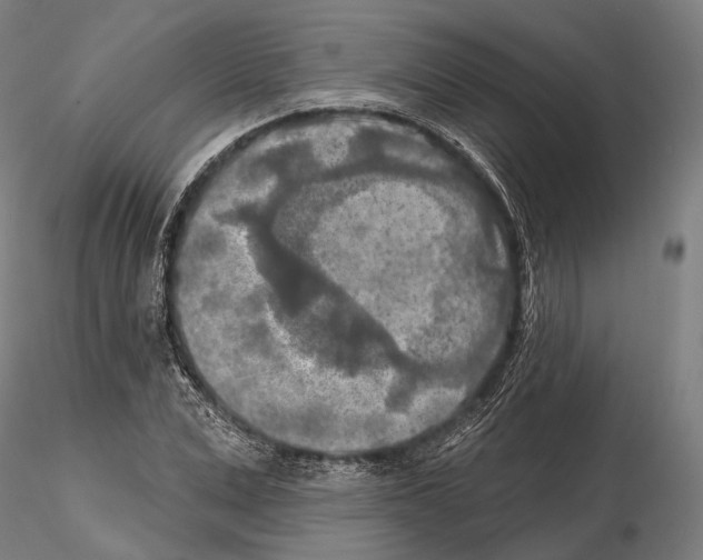 X0000114650975200912011108