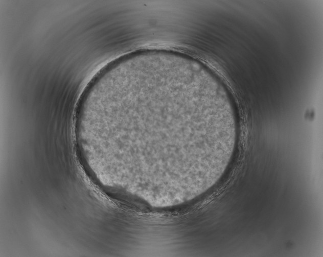 X0000114650976200912011108