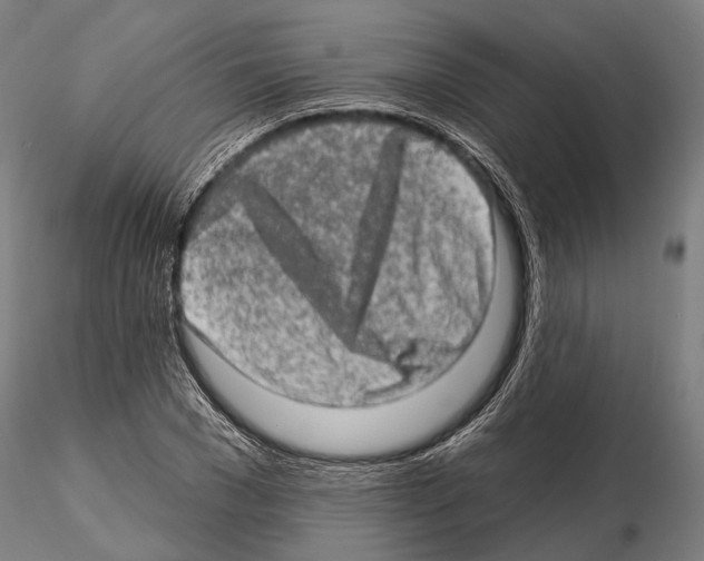 X0000114650977200912011108