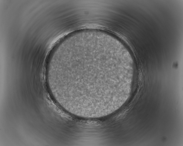 X0000114650979200912011108