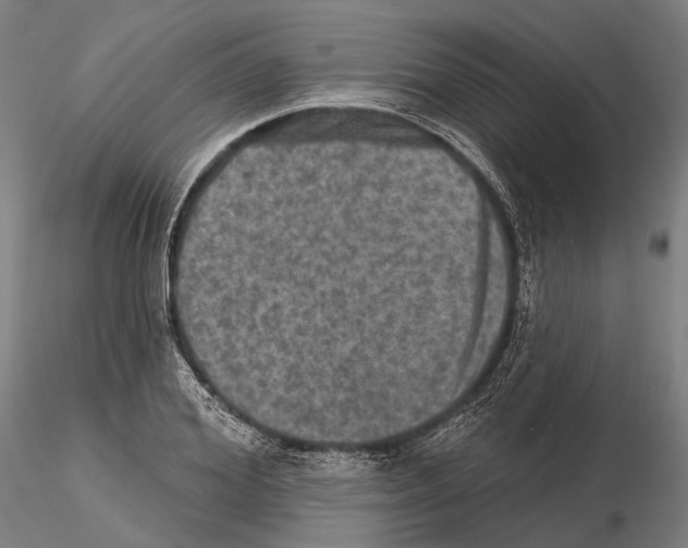 X0000114650980200912011108