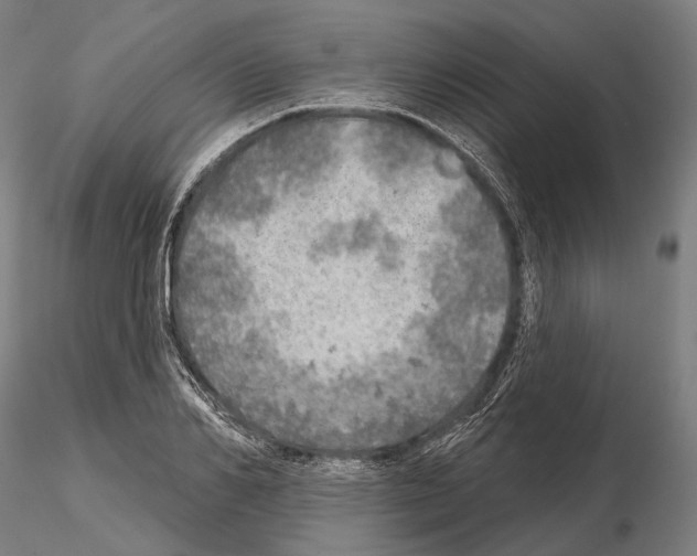 X0000114650982200912011108