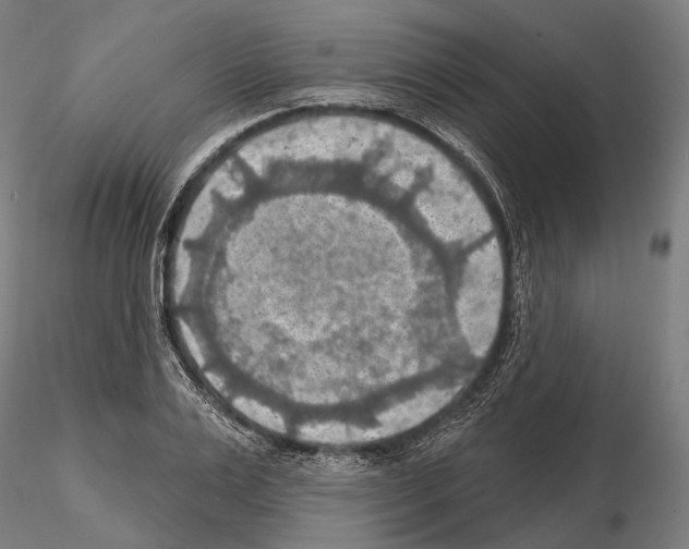 X0000114650983200912011108