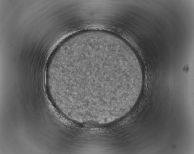 X0000114650984200912011108