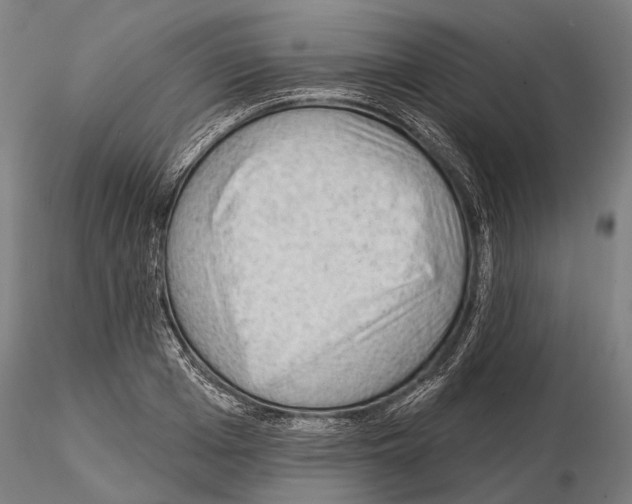 X0000114650985200912011108