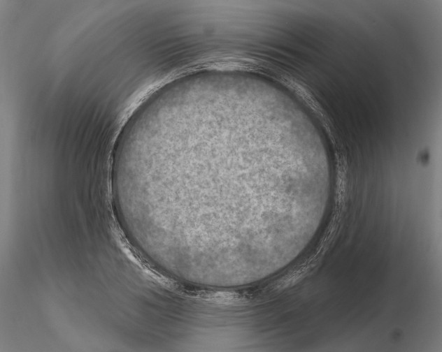 X0000114650986200912011108