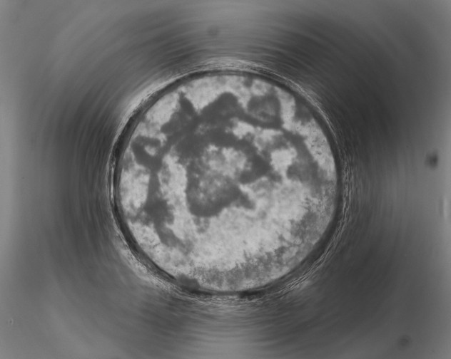 X0000114650987200912011108