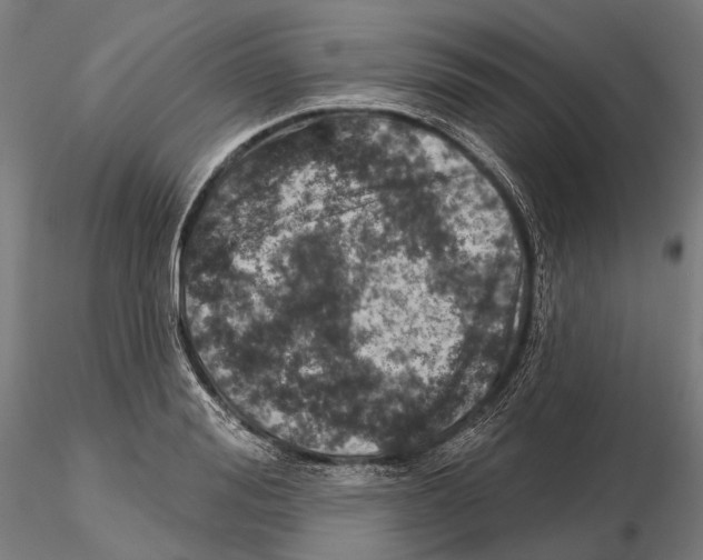 X0000114650988200912011108