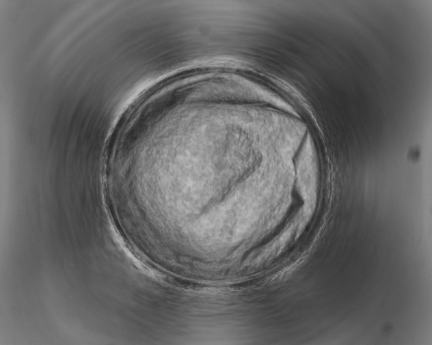 X0000114650989200912011108