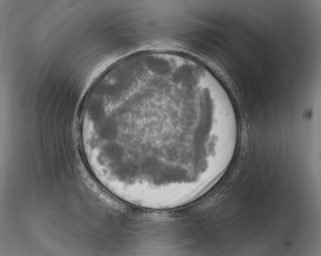 X0000114650990200912011108