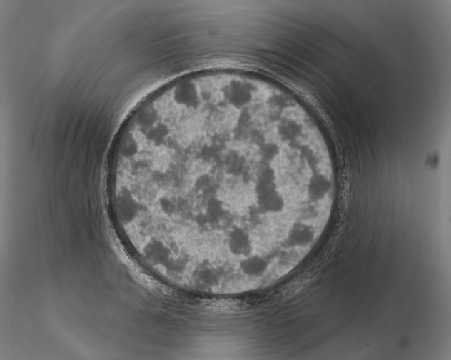 X0000114650991200912011108