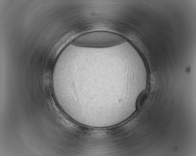 X0000114650993200912011108