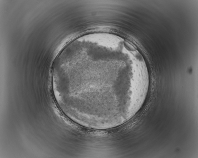 X0000114650994200912011108