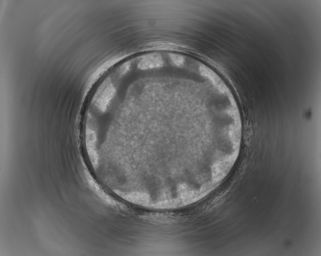 X0000114650995200912011108