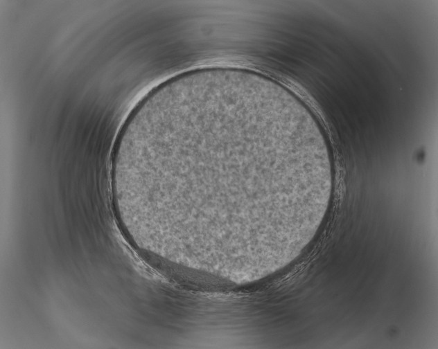 X0000114650996200912011108