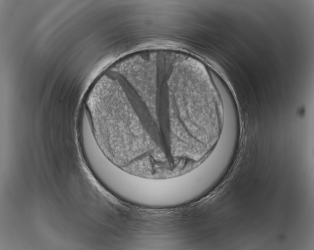 X0000114650997200912011108