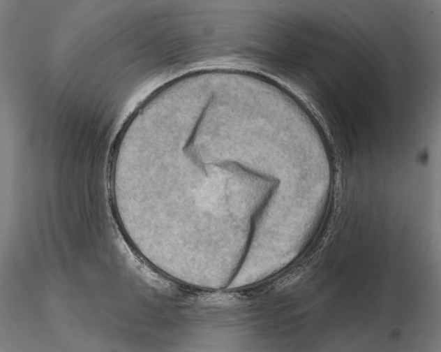 X0000114650998200912011108