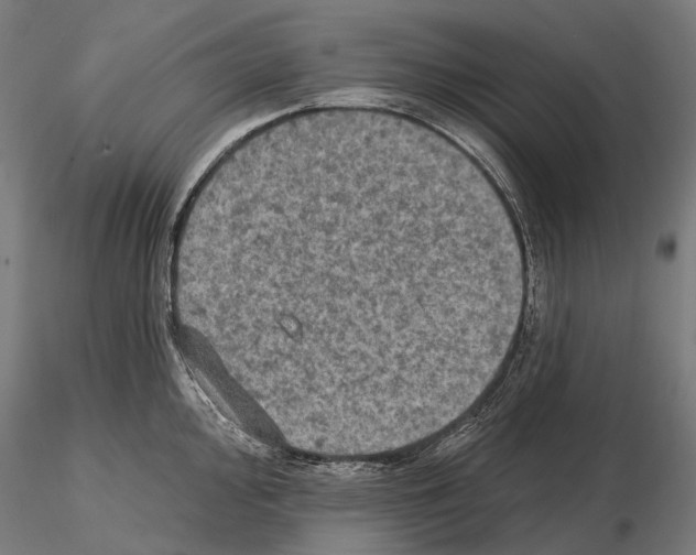 X0000114651000200912011108