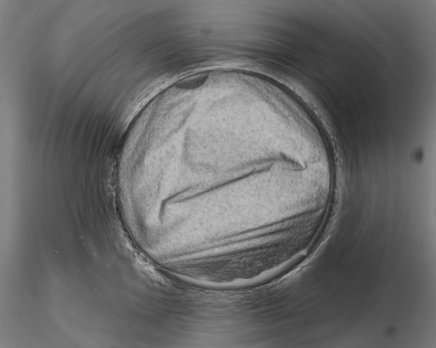 X0000114651001200912011108