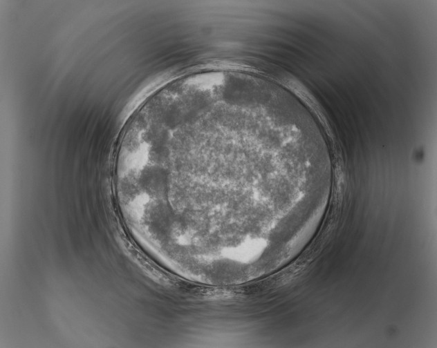 X0000114651002200912011108