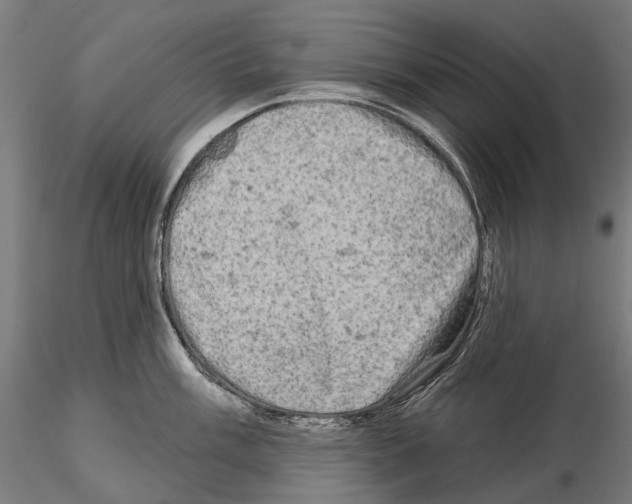 X0000114651003200912011108